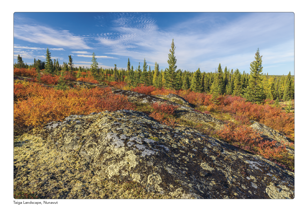 Triumph Calendars Canadian Scenic Pocket Calendar-4160