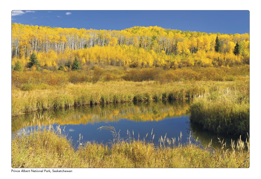 Triumph Calendars Canadian Scenic Pocket Calendar-4160
