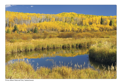 Triumph Calendars Canadian Scenic Pocket Calendar-4160