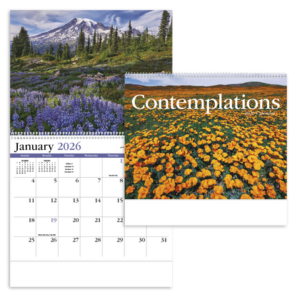 HotLine Products Contemplations Appointment Calendar  Spiral-425