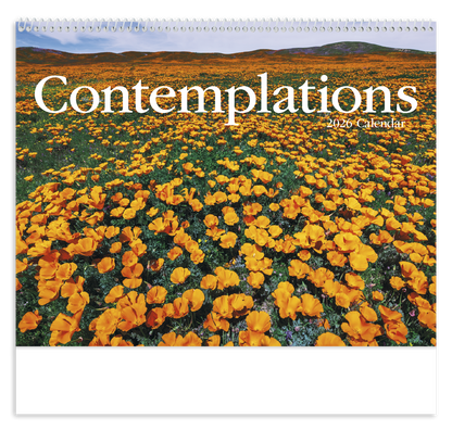 HotLine Products Contemplations Appointment Calendar  Spiral-425