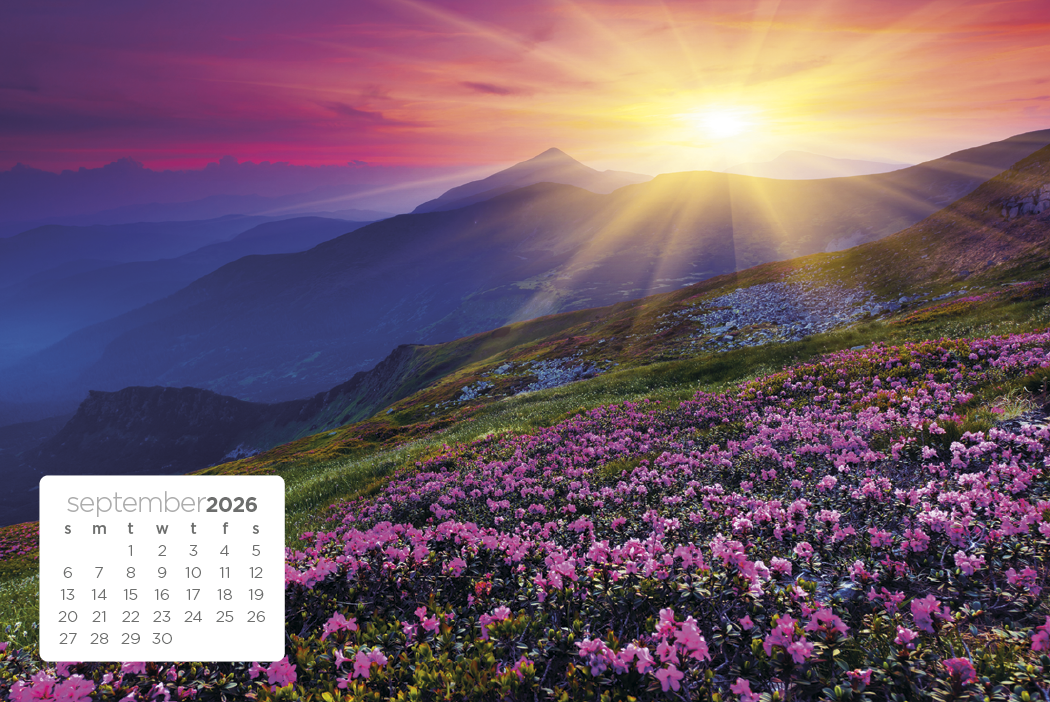 Triumph Calendars Simplicity Large Desk Calendar-4277
