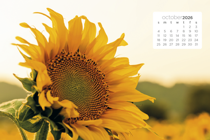 Triumph Calendars Simplicity Large Desk Calendar-4277