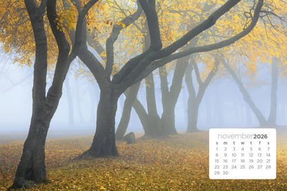 Triumph Calendars Simplicity Large Desk Calendar-4277