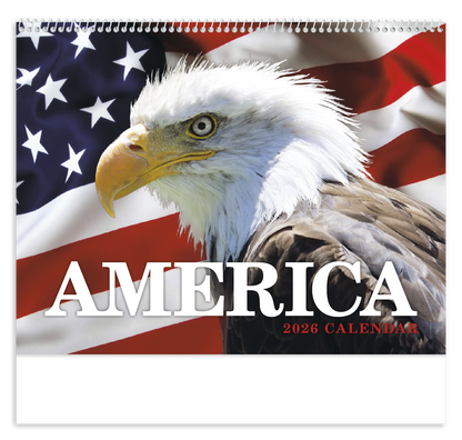 HotLine Products America Appointment Calendar  Spiral-457