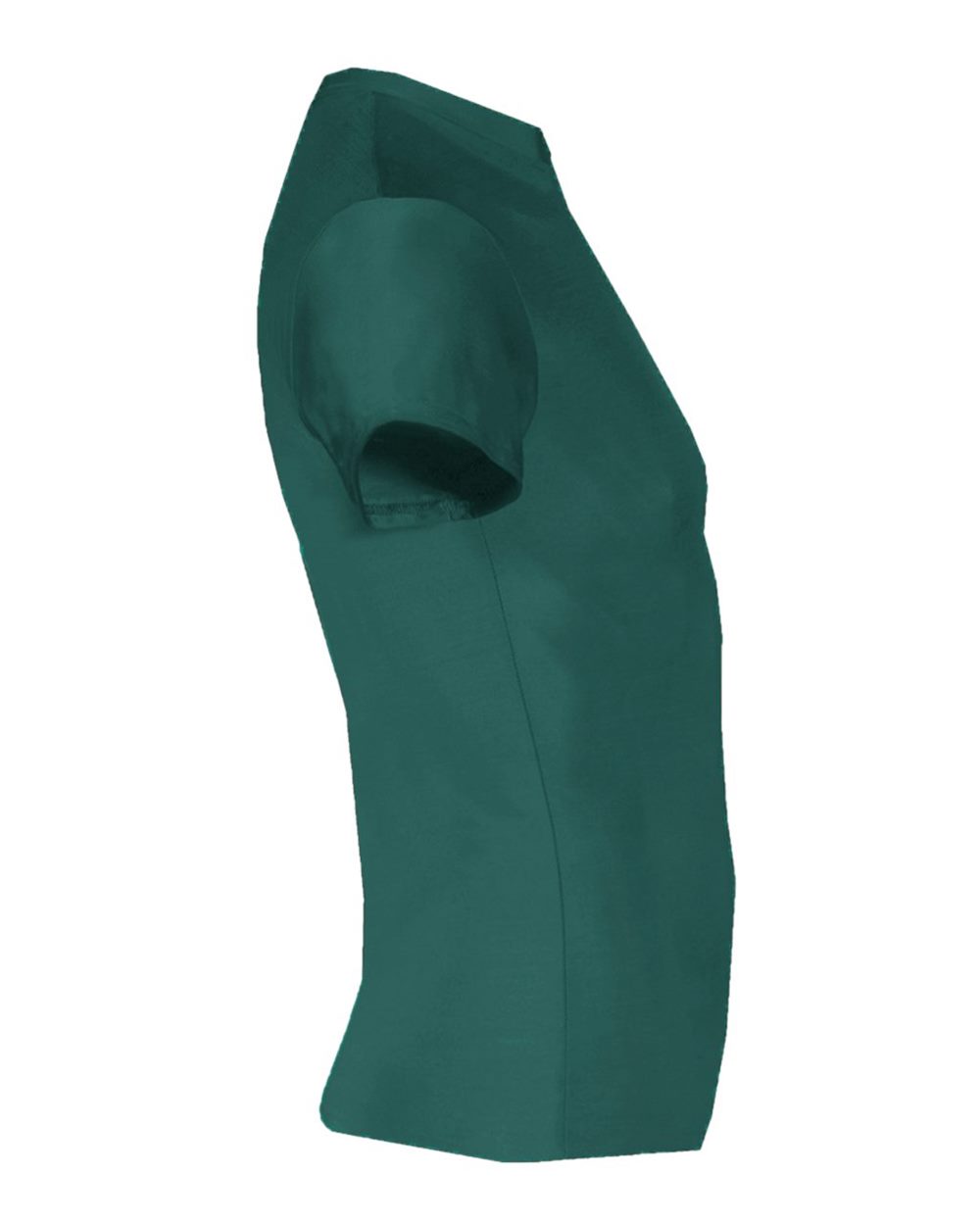 Image for 48739_fl.jpg