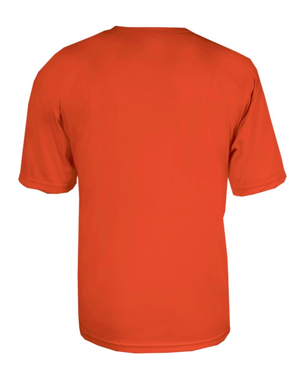 Image for 48870_b_fl.jpg