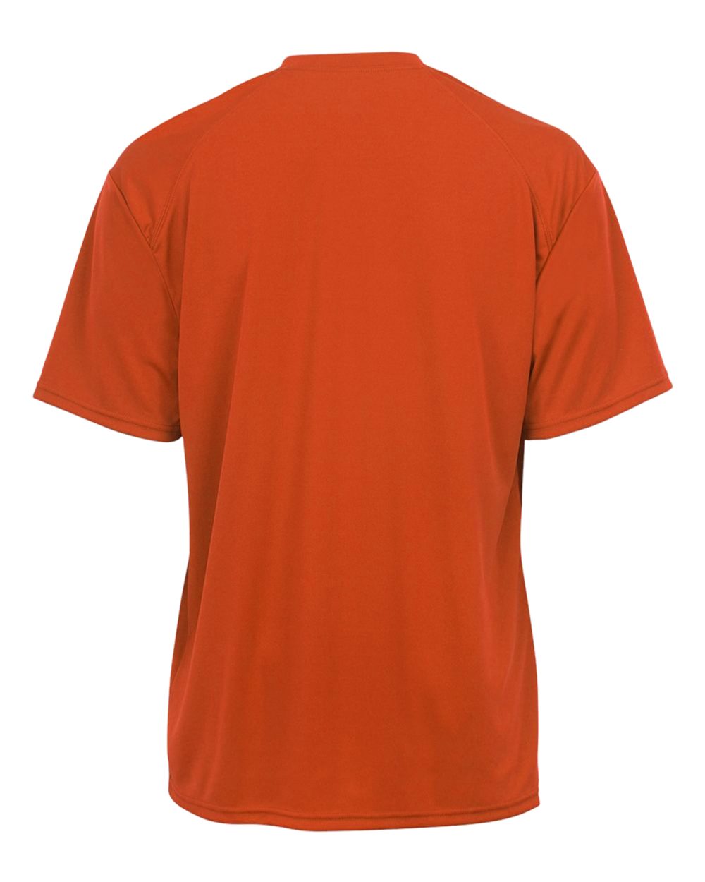 Image for 48916_b_fl.jpg