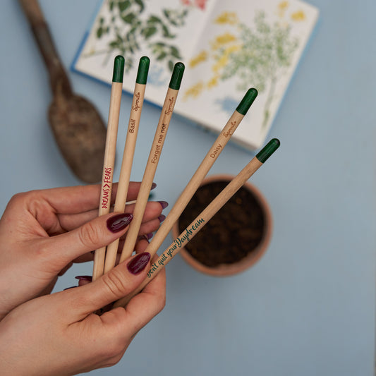 SproutWorld Pencil-56083