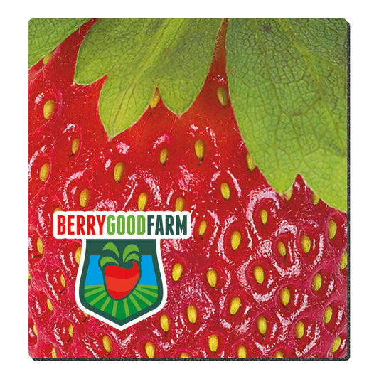 Good Value 14 Fabric Surface Mouse Pad 712 x 8-MP6B
