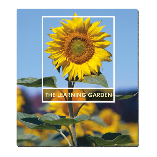 Good Value Ultra Thin Firm Mouse Pad 712 x 812-MPUT1