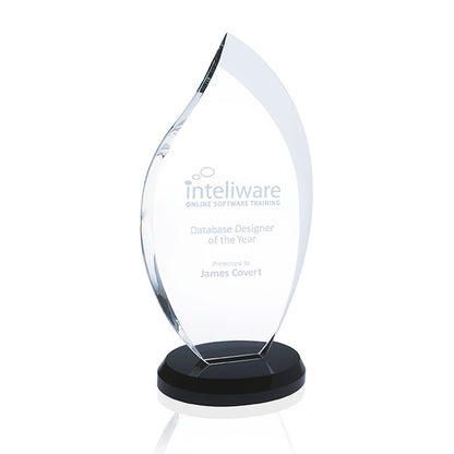 JAFFA Innovation Award  Medium-36363