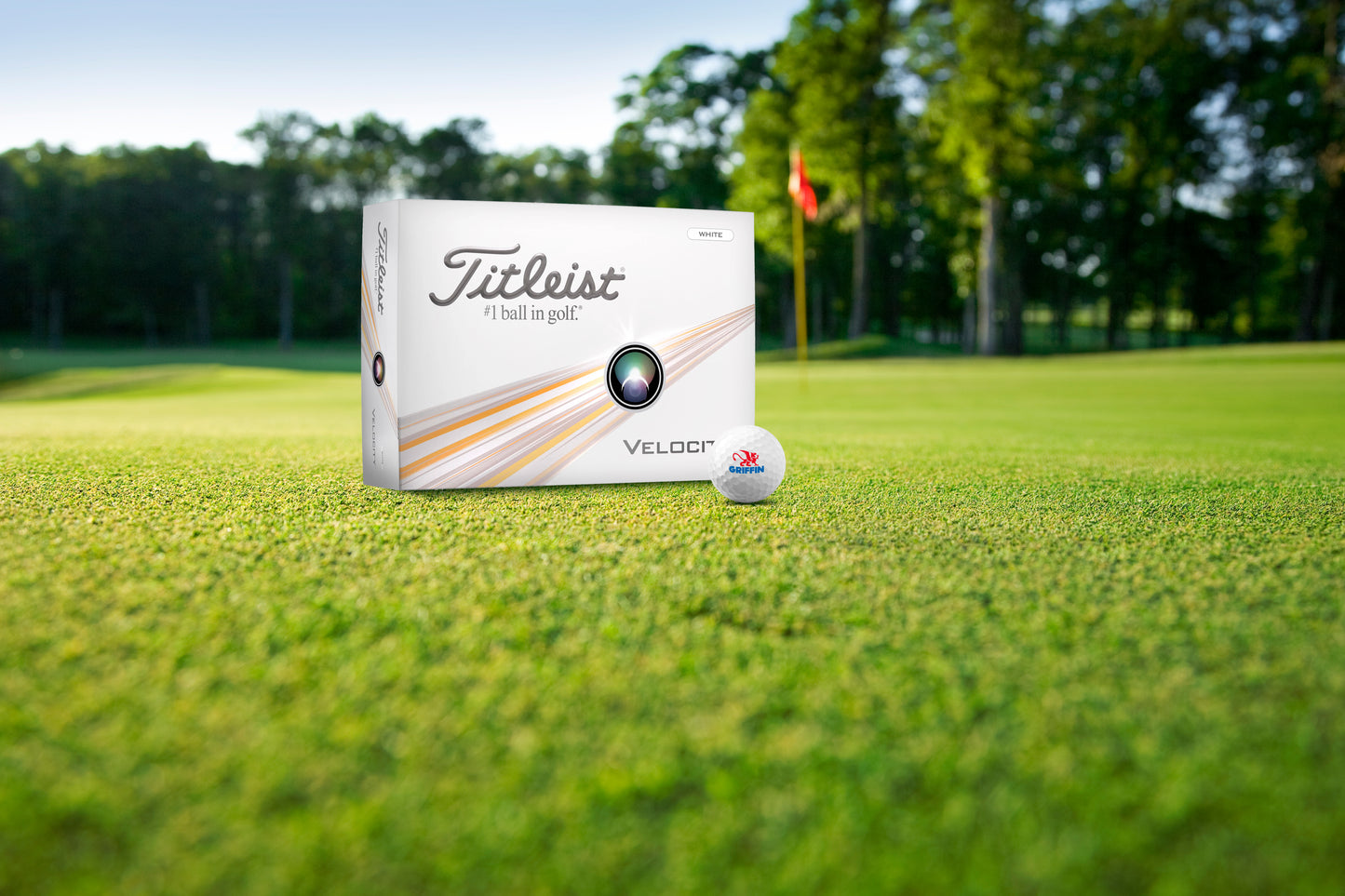 Titleist Velocity Golf Ball Std Serv-61236