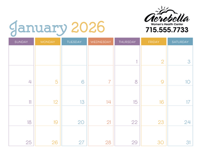 Triumph Calendars Small Monthly Desk Pad  Colors-6556