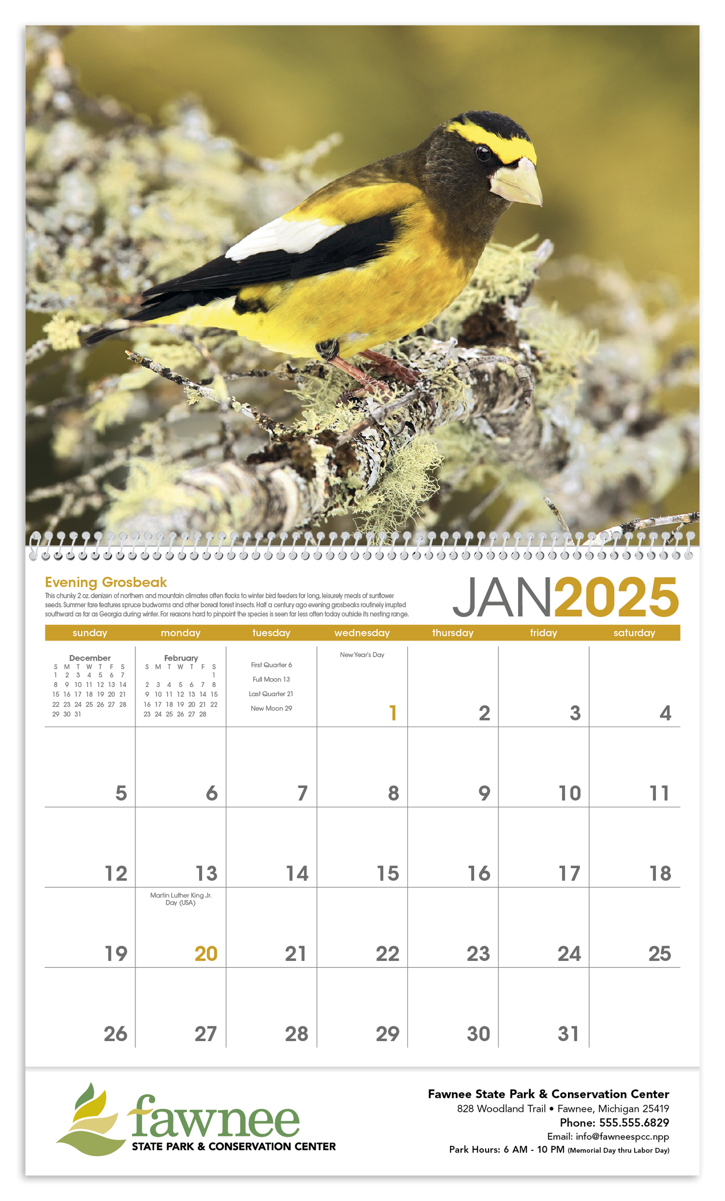 Triumph Calendars Birds Calendar-1053