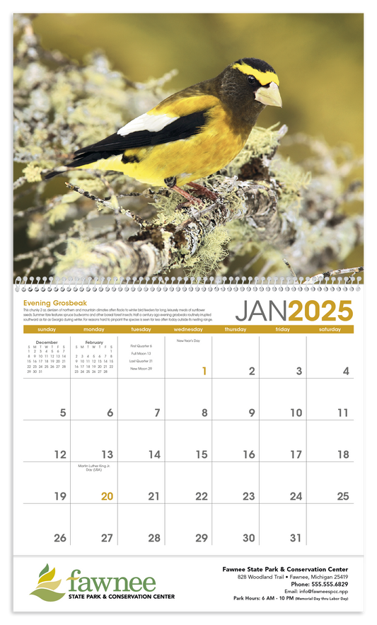 Triumph Calendars Birds Calendar-1053