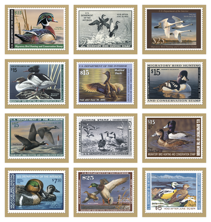 Triumph Calendars Duck Stamps Calendar-1809