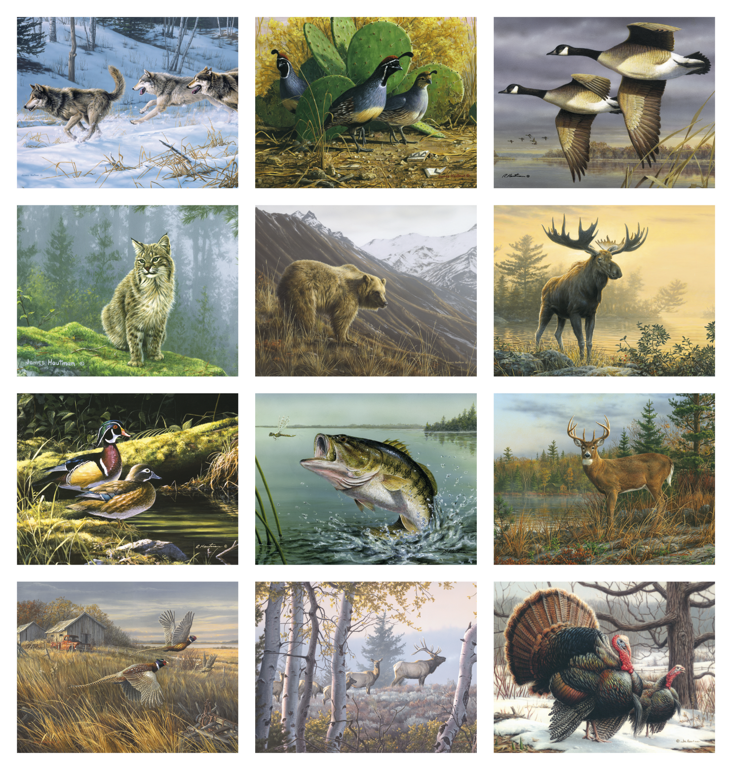 Triumph Calendars Wildlife Art by the Hautman Brothers Calendar-1811