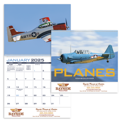 Triumph Calendars Planes Calendar-1852