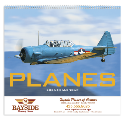 Triumph Calendars Planes Calendar-1852