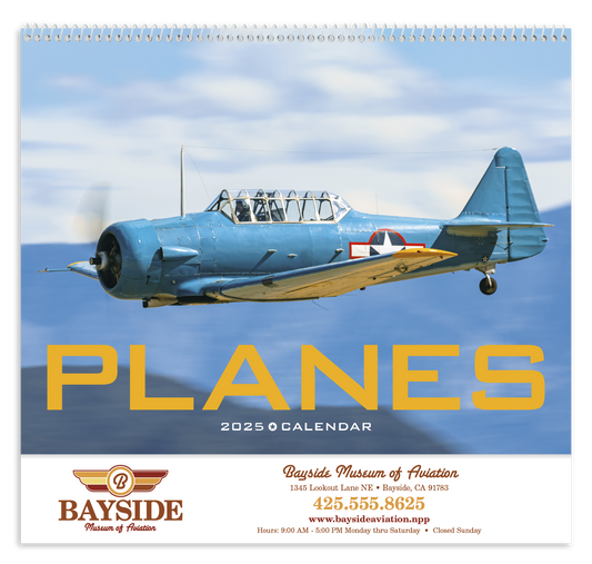 Triumph Calendars Planes Calendar-1852