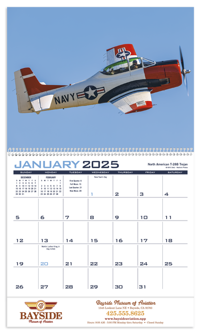 Triumph Calendars Planes Calendar-1852