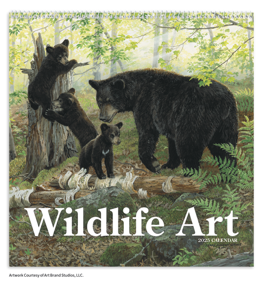 Triumph Calendars Wildlife Art Calendar-2104