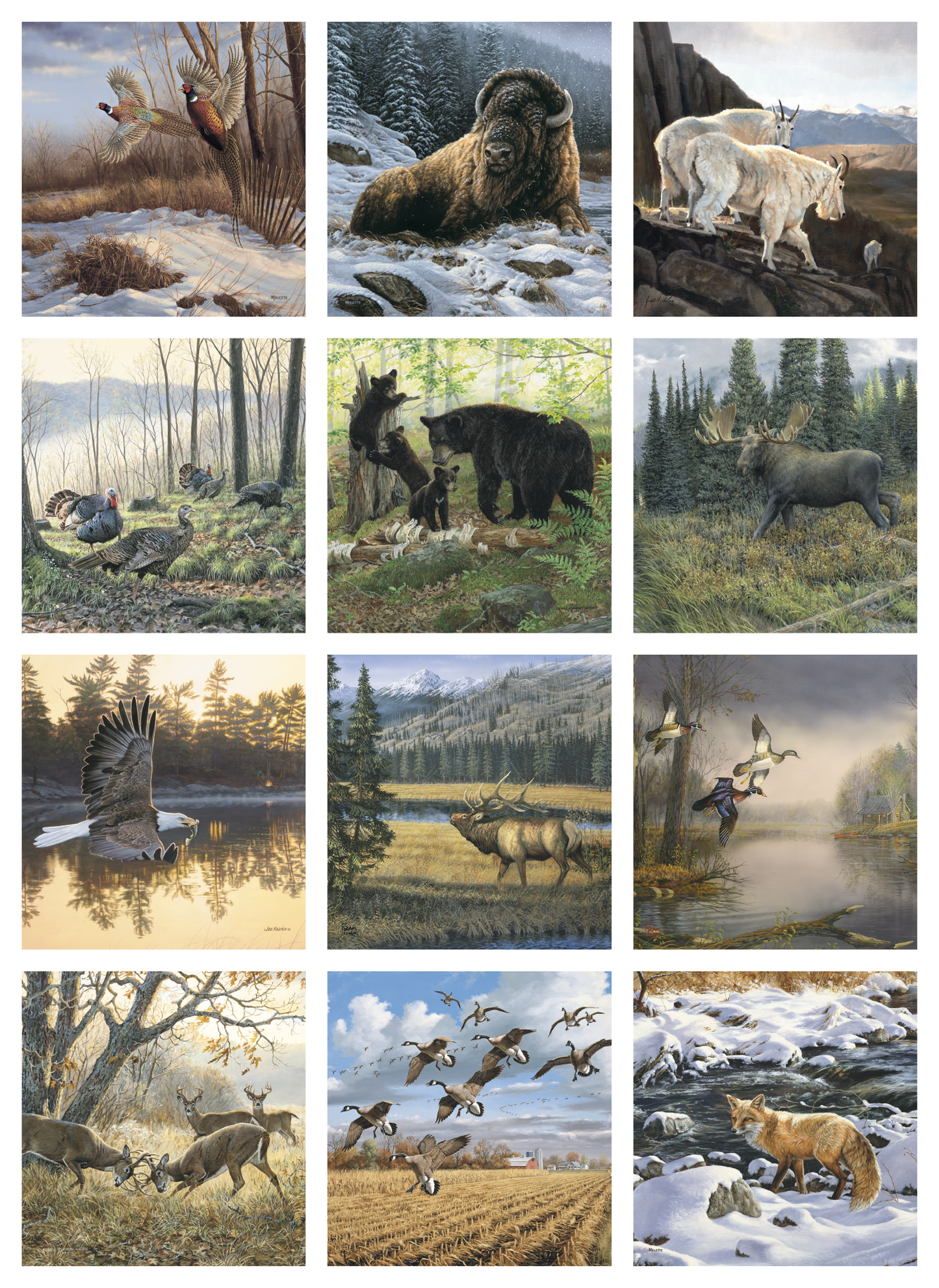 Triumph Calendars Wildlife Art Calendar-2104