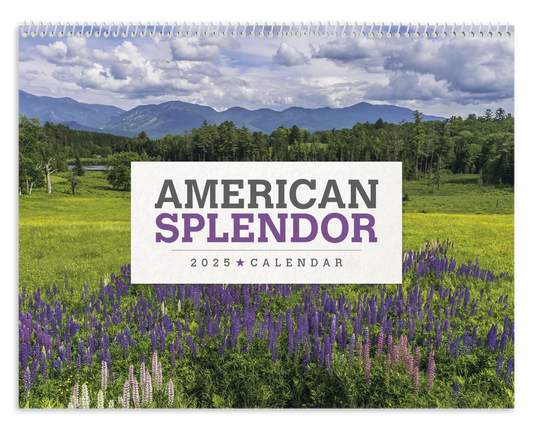 Triumph Calendars American Splendor Calendar-2507