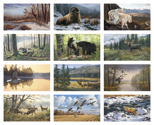 Triumph Calendars Wildlife Art Calendar-3106