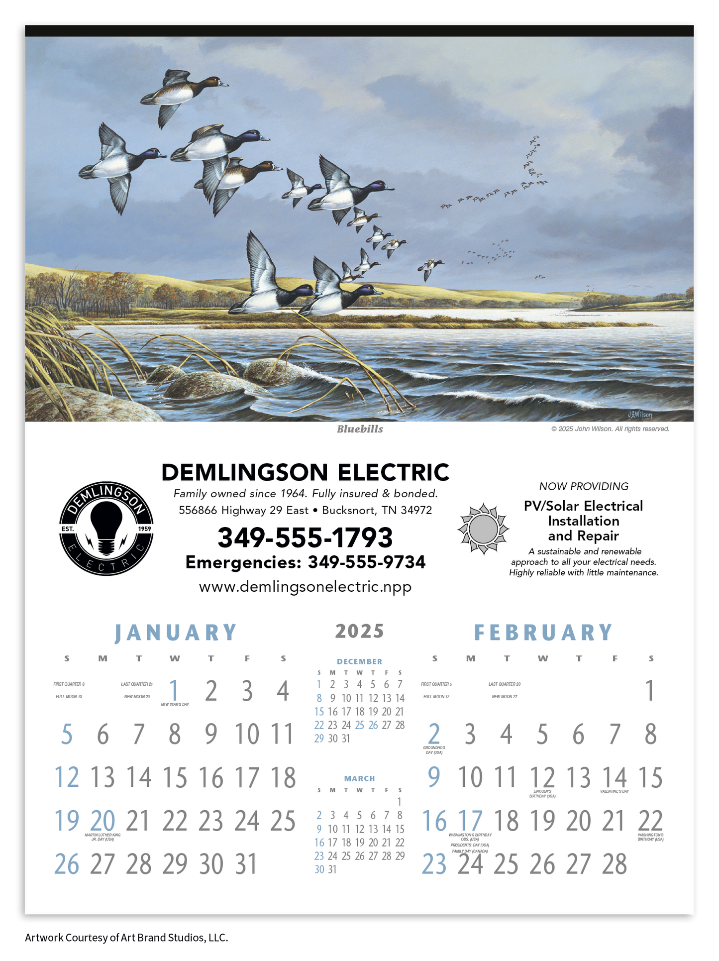 Triumph Calendars North American Waterfowl Calendar-3203