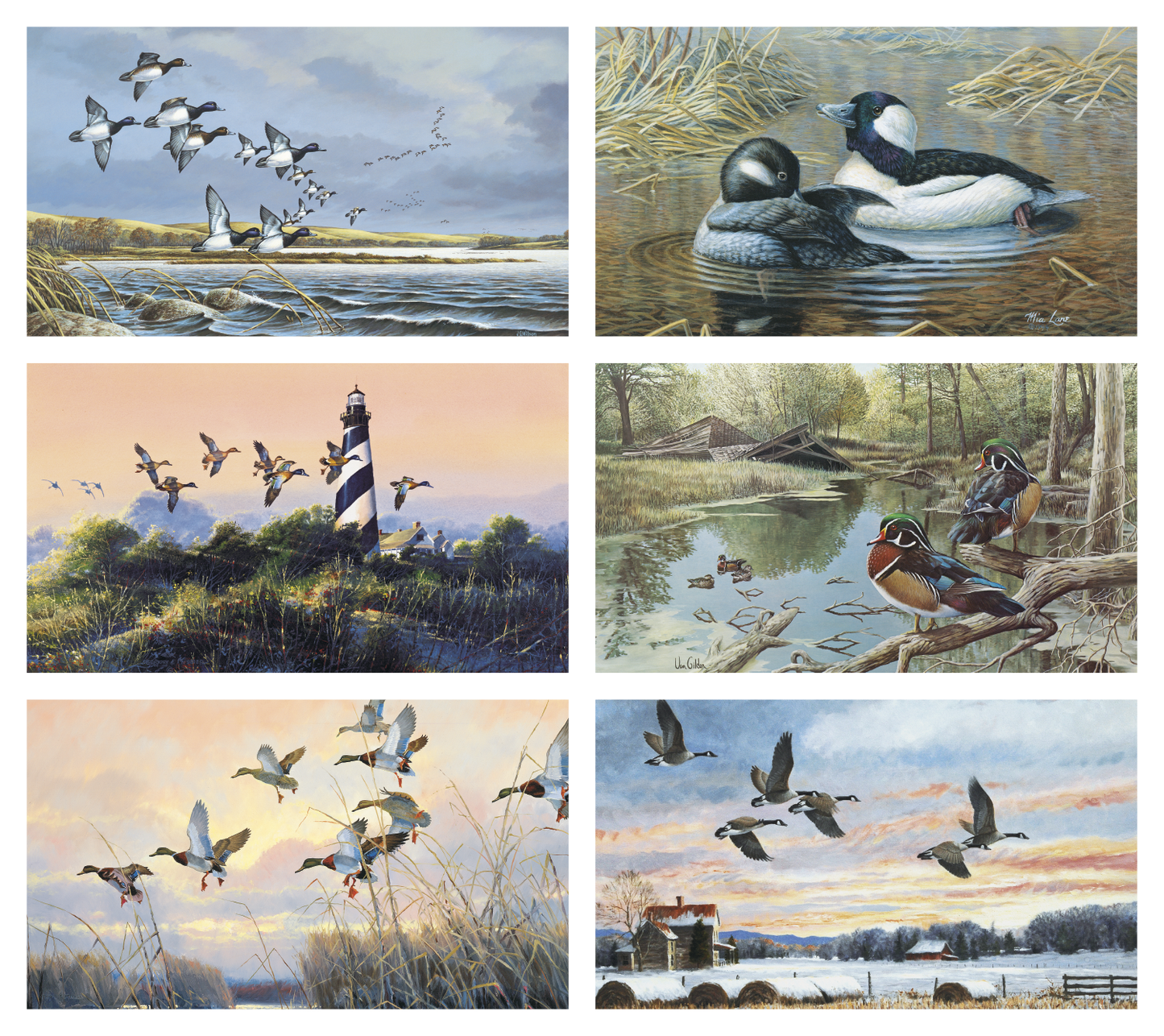 Triumph Calendars North American Waterfowl Calendar-3203