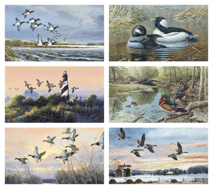 Triumph Calendars North American Waterfowl Calendar-3203