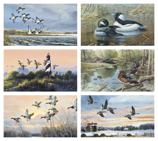 Triumph Calendars North American Waterfowl Calendar-3203