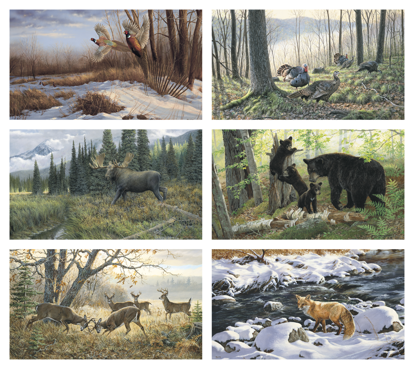 Triumph Calendars Wildlife Art Calendar-3208