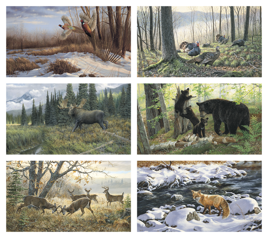 Triumph Calendars Wildlife Art Calendar-3208
