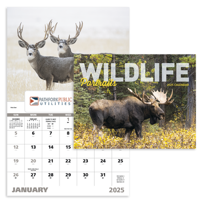 Good Value Wildlife Portraits  Window Calendar-7563