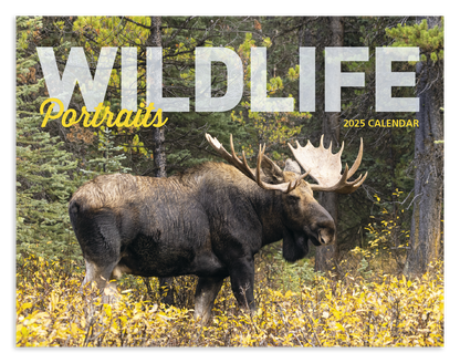 Good Value Wildlife Portraits  Window Calendar-7563