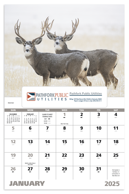 Good Value Wildlife Portraits  Window Calendar-7563