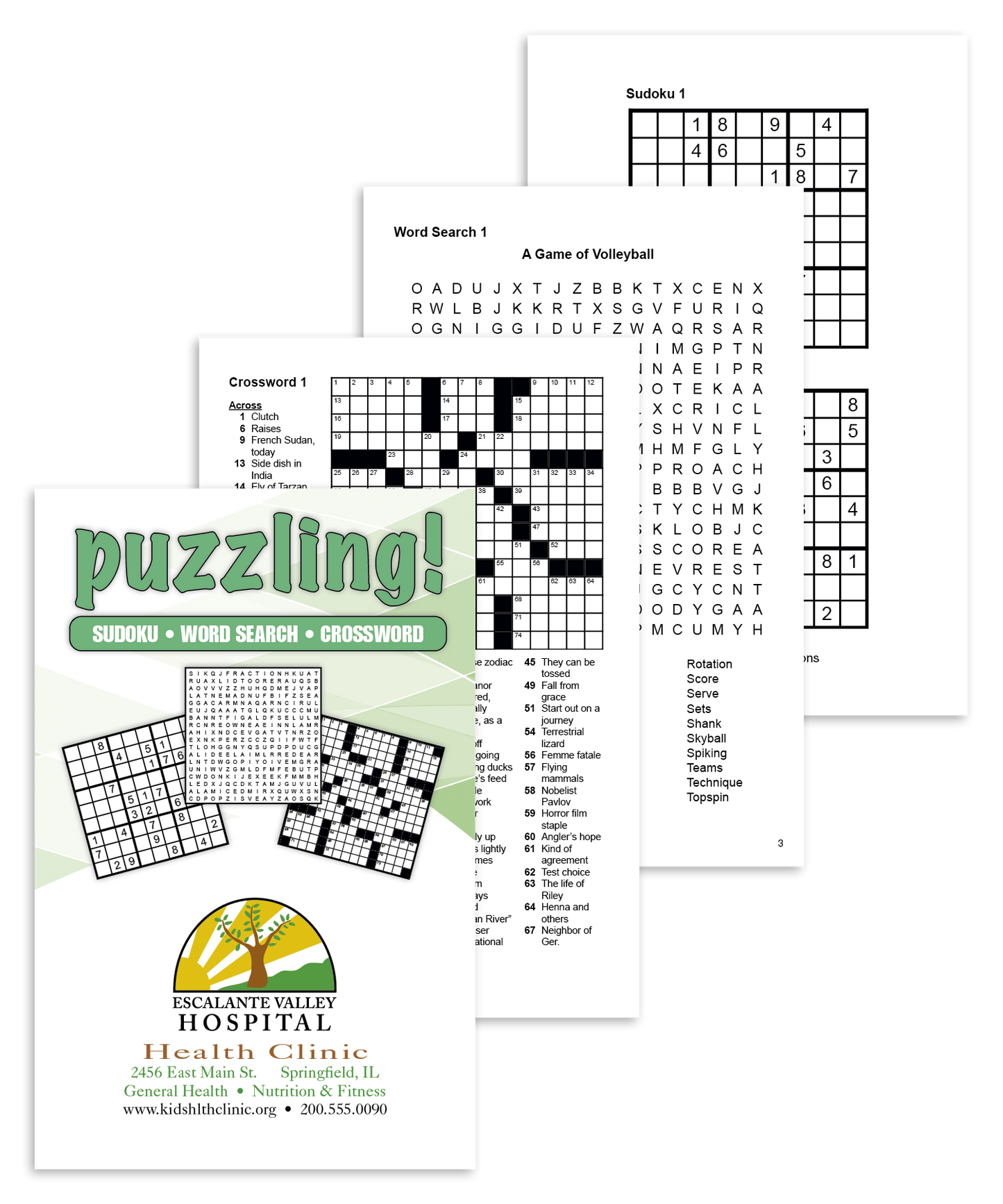 Triumph Calendars Puzzling-8960