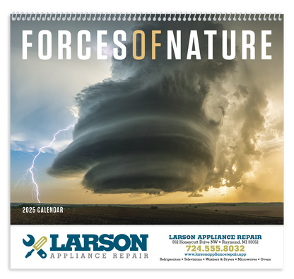 Triumph Calendars Forces of Nature Calendar-1705