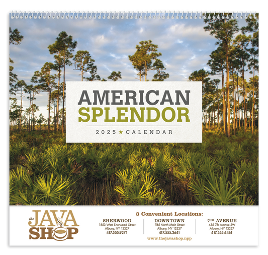 Triumph Calendars American Splendor Calendar-1709