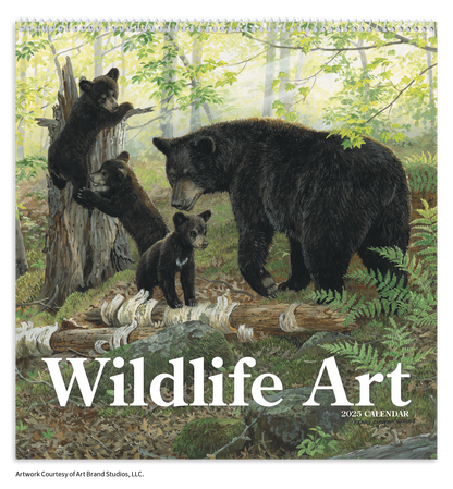 Triumph Calendars Wildlife Art Calendar-2104