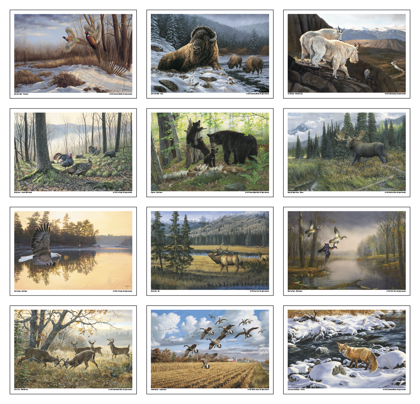 Triumph Calendars Wildlife Art Calendar-2301