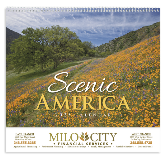 HotLine Products Scenic America Appointment Calendar  Spiral-400
