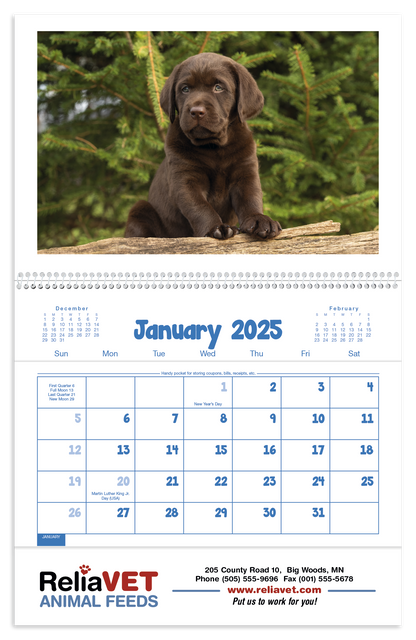 Triumph Calendars Puppies  Kittens Pocket Calendar-4155