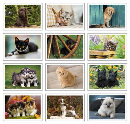 Triumph Calendars Puppies  Kittens Pocket Calendar-4155