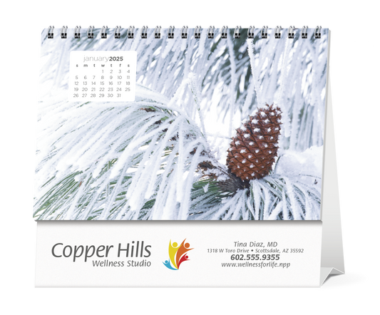 Triumph Calendars Simplicity Large Desk Calendar-4277
