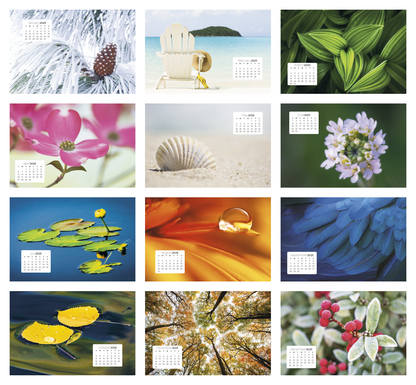 Triumph Calendars Simplicity Large Desk Calendar-4277