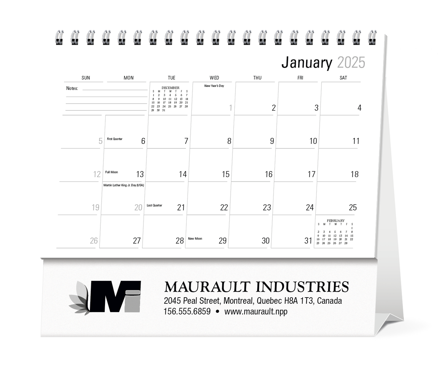 Triumph Calendars Large Econo Desk Calendar-4278